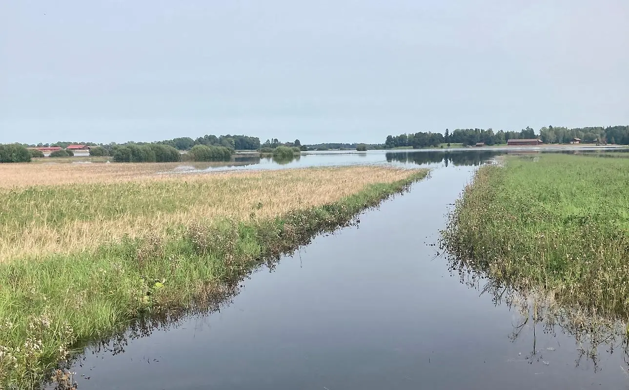 Händer håller i jord