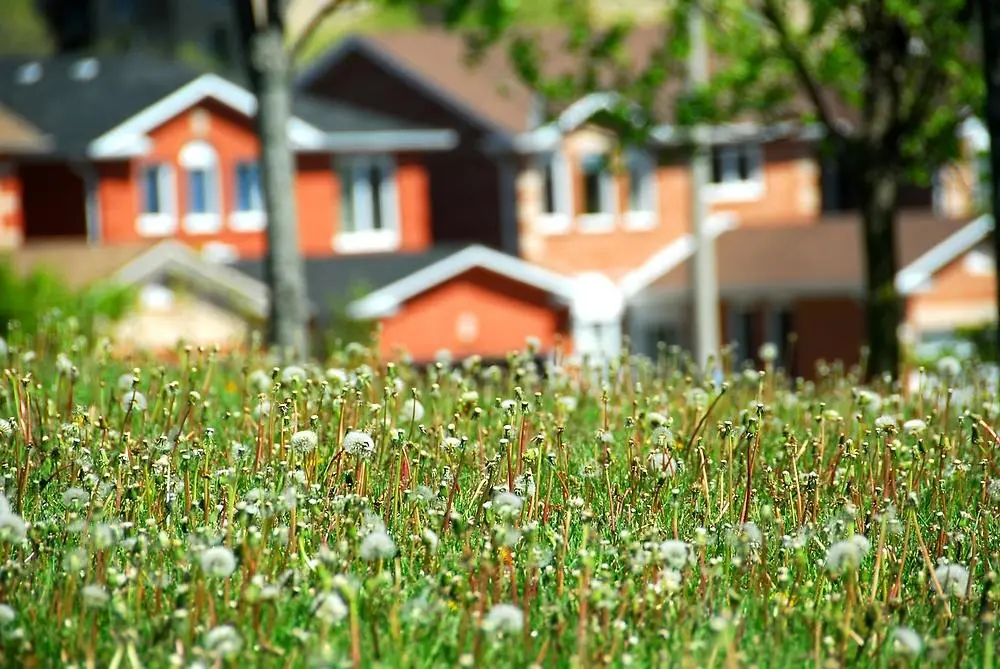 Bostadshus en bit bort, i förgrunden grön gräsmatta