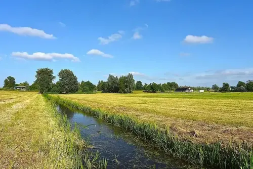 Dike som går genom fält