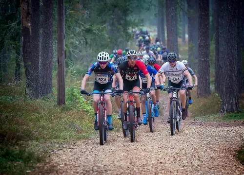 Cyklister i skogen under tegeltrampet