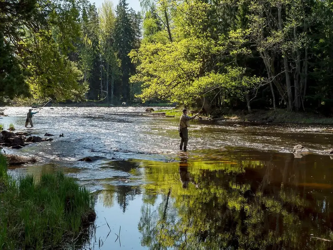 Man står och kastar fiskespö i Dalälven, Färnebofjärdens nationalpark.