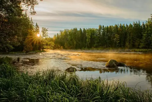 Vatten och träd i vackert kvällsljus, färnebofjärdens nationalpark